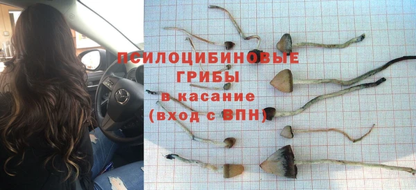 хмурый Балабаново
