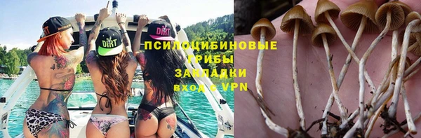apvp Армянск