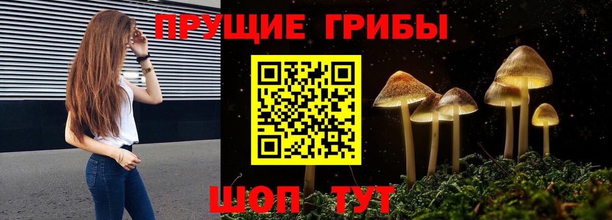 Галлюциногенные грибы Cubensis Семилуки