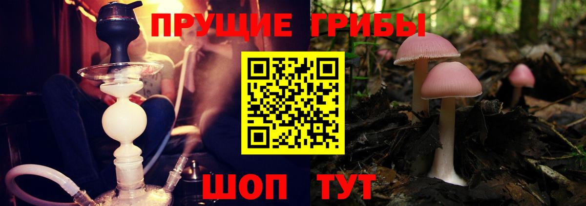 Псилоцибиновые грибы мухоморы  Вход с VPN  Семилуки 